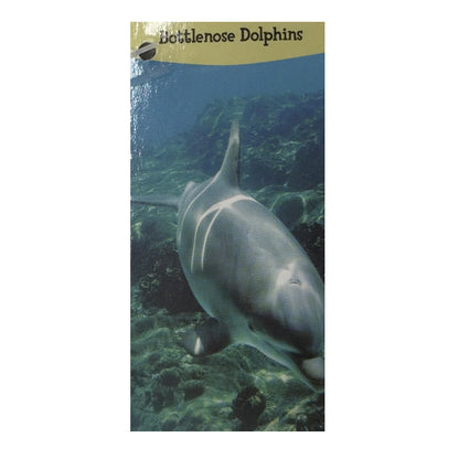 17" Plush Bottlenose Dolphin - Pre Priced Sticker $19.99